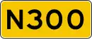 N300