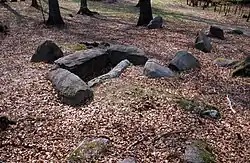 NLD Großsteingrab Barskamp 5