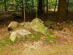 Großsteingrab Barskamp 8