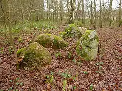 Großsteingrab Eimstorf