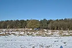 Großsteingrab Granstedt Fpl. 29