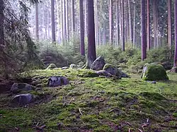 Großsteingrab Harlingen 1