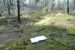 Großsteingrab Oerel Fpl. 27