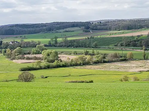 Naturschutzgebiet Priel