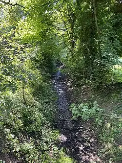 Feuchte Gräben durchziehen das NSG