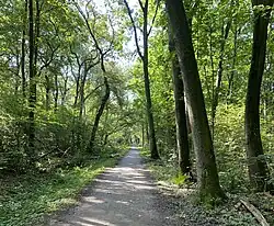 Wanderweg durch das NSG