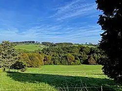 Blick von Johannesberg über das NSG Altenbachtal nach Norden
