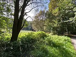 Landschaftsmosaik aus Wald, Feuchtgrünland und Hochstaudenflur