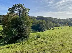 Altenbachtal bei Dicke