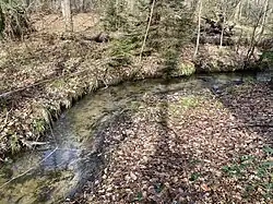 Bürgerbuschbach fließt im sandigen Bachbett