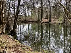 Teich im NSG