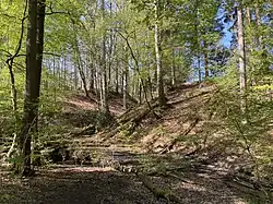 Schwarzbroicher Bach