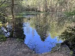Oberer Quellteich im Schwarzbroich