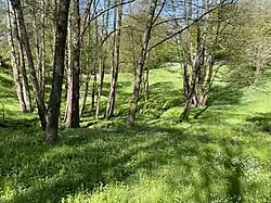 Waschbach in der Nähe seines Quellgebietes bei Oberbech / südl. Lanzemich