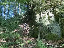 Kalkstein-Felswand im westl. Bereich des Steinbruchs