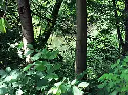 Blick durch den Zaun auf einen der Tümpel