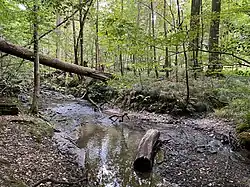 Oefter Bach mit steinigem Bachbett