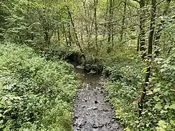 Nebenbach aus nördl. Richtung