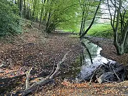 Paasbach östl. Im Poppenberge