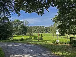 Blick in die Weiden der „Auerochsen“ (Heckrinder)