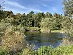 Kormorane, Reiher und Eisvögel jagen in den Buhnen der Ruhr