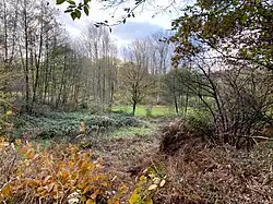 Teilfläche nördl. Oberbredenscheid