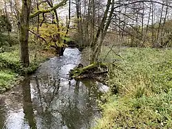 Deilbach an der ehem. Deilbachmühle