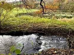 Deilbach umfließt einen naturnahen Teich