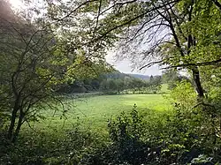 Südlicher Teil des NSG