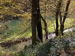 Sprockhöveler Bach fließt zunächst neben der L 551