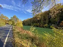 Sprockhöveler Bach ist an den Waldrand gewechselt – in der Wiese bildet sich ein Quellgewässer aus