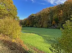 Das Quellgewässer ist zu einem Wiesenbach angeschwollen u. fließt parallel zum Sprockhöveler Bach