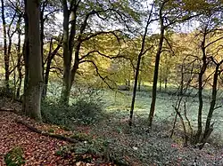 Feuchtwiese mit Sprockhöveler Bach