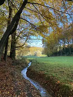 Sprockhöveler Bach fließt am Wiesenrand Richtung Wiggers
