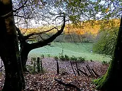 Bach aus Weuste fließt Richtung Wiggers