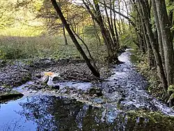 Hasper Bach mit hoher Fließdydnamik