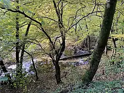 Hasper Bach mit geringer Fließdydnamik