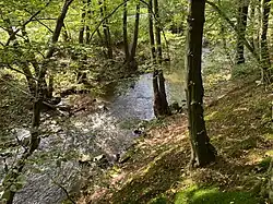 Ennepe am Fuß des Hohensteins