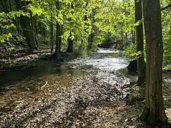 Eifgenbach in Odenthal