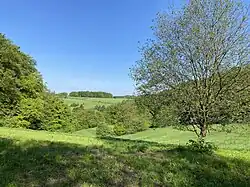 Farrenbracker Bachtal