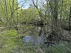 Der „Grüne See“ – ehem. Pinge