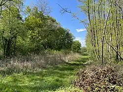 Schneise der Leitungstrasse Im Weidenbusch
