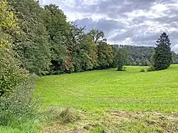 Blick über den unteren Teil des NSG – Weidener Bachtal bis zum NSG Altenbachtal