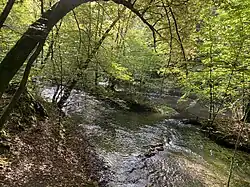 Dhünn teilt sich und bildet Inseln aus