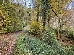 Spatzendelle, die die ehemaligen Teiche speiste, unterquert den Wanderweg A2