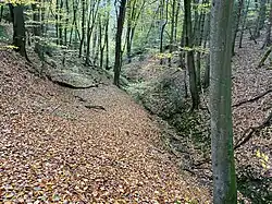 Tief eingekerbt verläuft das Tal des Grünscheider Baches