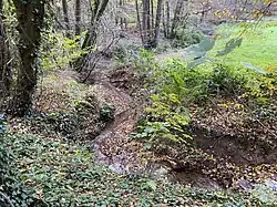 Grünscheider Bach erreicht den Weltersbach (von links kommend)