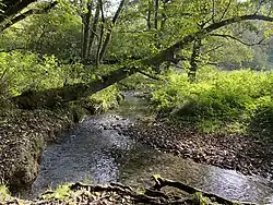 Naturnaher Verlauf des Weltersbaches