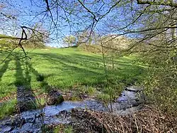 Unterer Schümicher Siefen