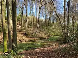 Bachtal des Schümicher Siefens